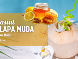 7 Khasiat Rutin Konsumsi Air Kelapa Dicampur Madu, bikin Awet muda loh